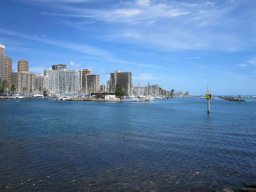 fohawaii 018